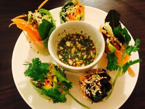 Fresh spring roll at Veggie Bean in Koh Samui