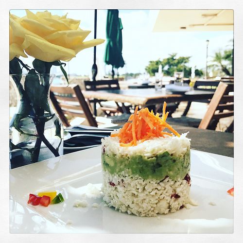 Sun dried tomatoes, cauliflower & avocado mousse at Full Bloom in Miami Beach