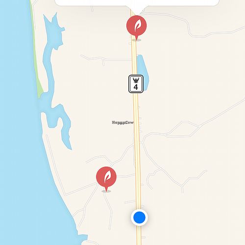 Blue dot is the right location at Hill Tribe Restaurant in Khao Lak