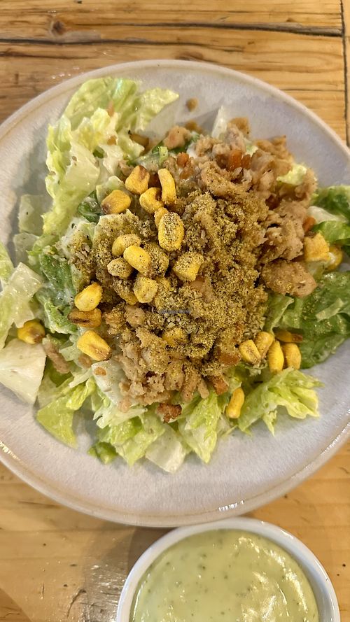 Caesar   at Purezza in Brighton