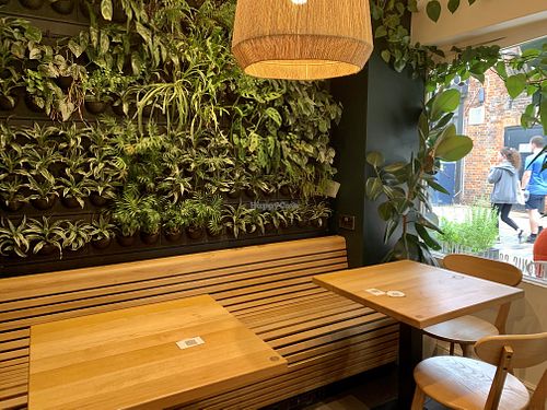 Chia naturally healthy seating  at Chia Naturally Healthy in Hitchin