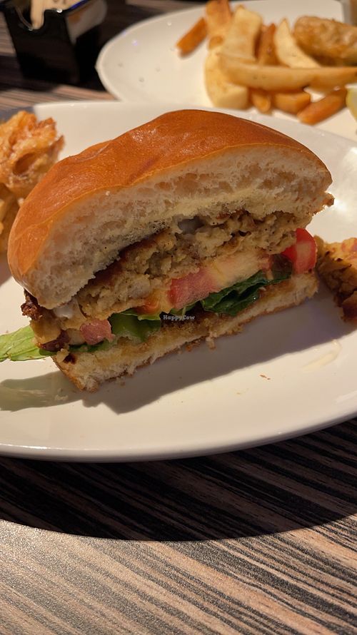   at Cider Press Pub in St Petersburg