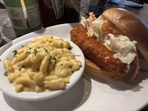 Buffalo chicken sandwich with max and cheese  at Cider Press Pub in St Petersburg