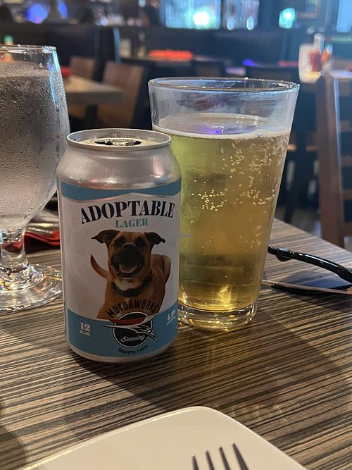   at Cider Press Pub in St Petersburg