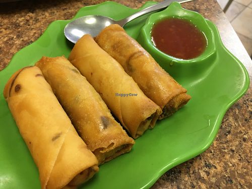 Egg rolls  at Pho Vegan Asian Cuisine in Rocklin