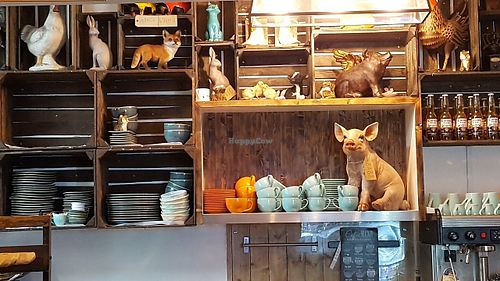 Vegan Hippo at Vegan Hippo in London