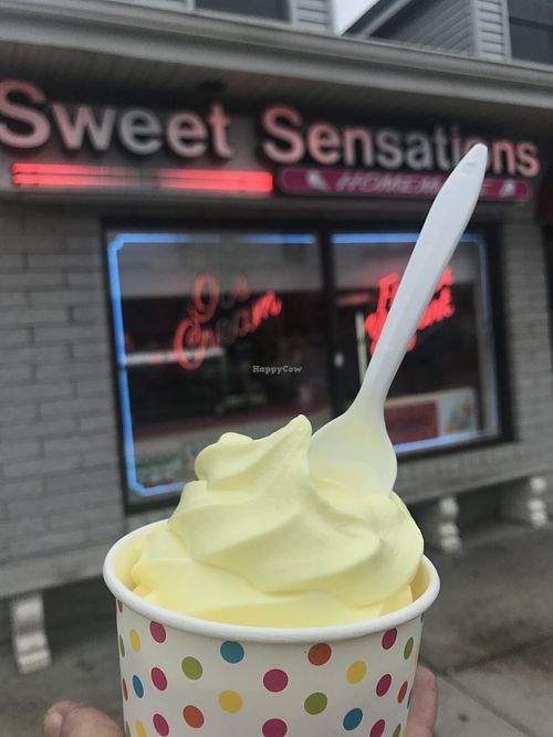 Vegan soft serve   at Sweet Sensations in Babylon