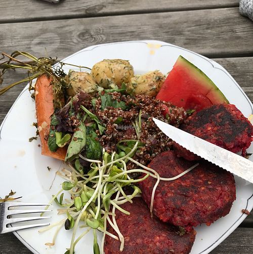 Vegan dish of the day. at Kafe Helsa pa in Ystad