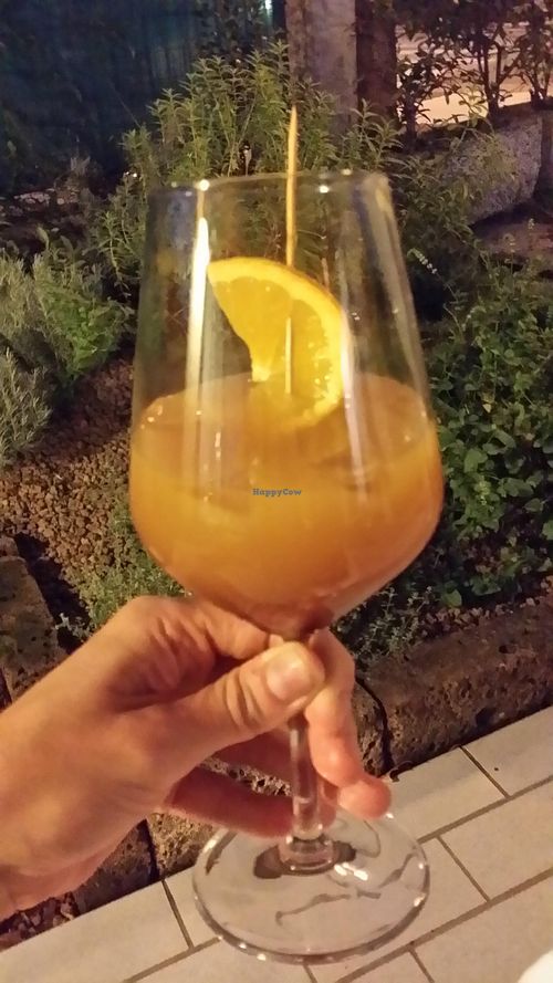 aperitif at Vegan House in Torre Di Mosto