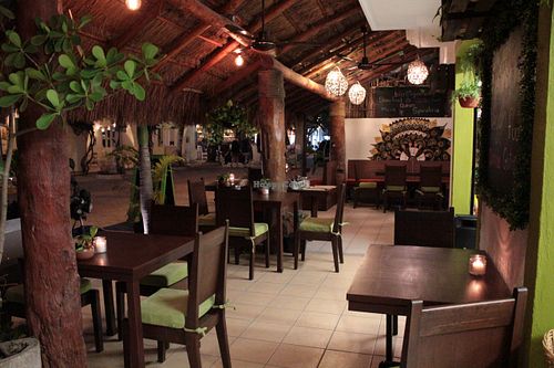 Nice friendly atmosphere, open for breakfast, lunch and dinner at Bio-Organicos in Playa Del Carmen
