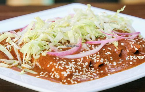 Vegan enmoladas at Bio-Organicos in Playa Del Carmen