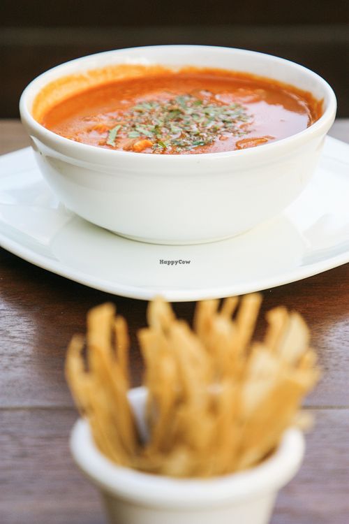 vegan tortilla soup at Bio-Organicos in Playa Del Carmen