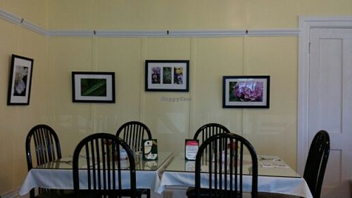 decor  at Black-Eyed Susan Acoustic Cafe in Angelica