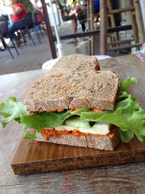 Tofu & ajvar sandwich, great! at Living Nature in Varna