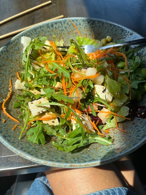 Excellent tastes, super fresh flavorful ingredients, lovely setting. Prompt servicee  at Sushi 86 in Cleveland