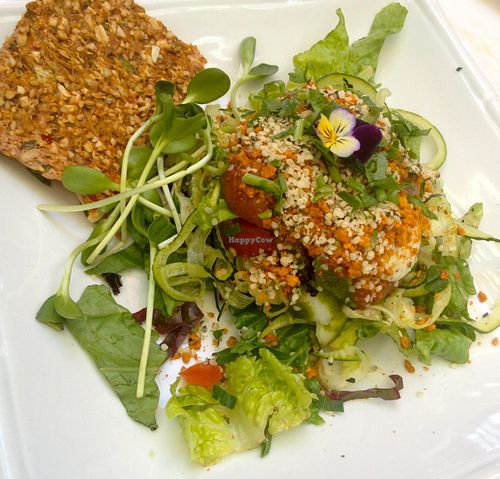 Raw Pasta at Rawtopia Living Cuisine and Beyond in Millcreek