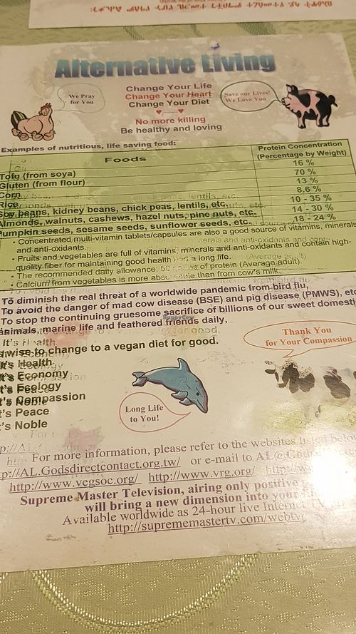 Notes at Loving Hut in Addis Ababa