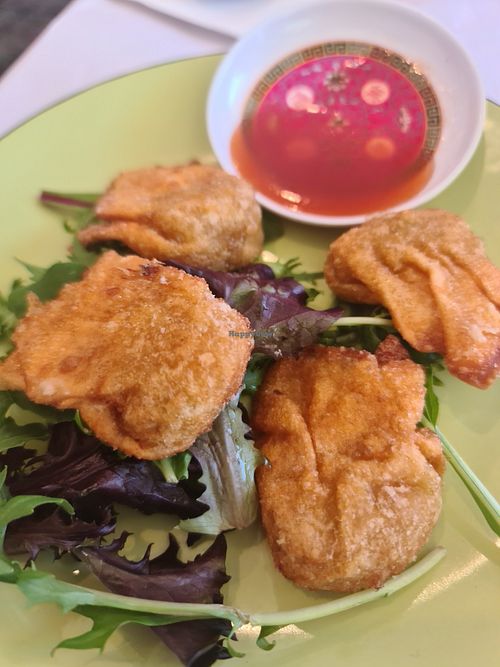Wontons at Vegie Mum in Doncaster