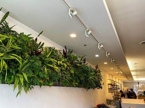 Aesthetics  at Alchemy - Southside in Columbus