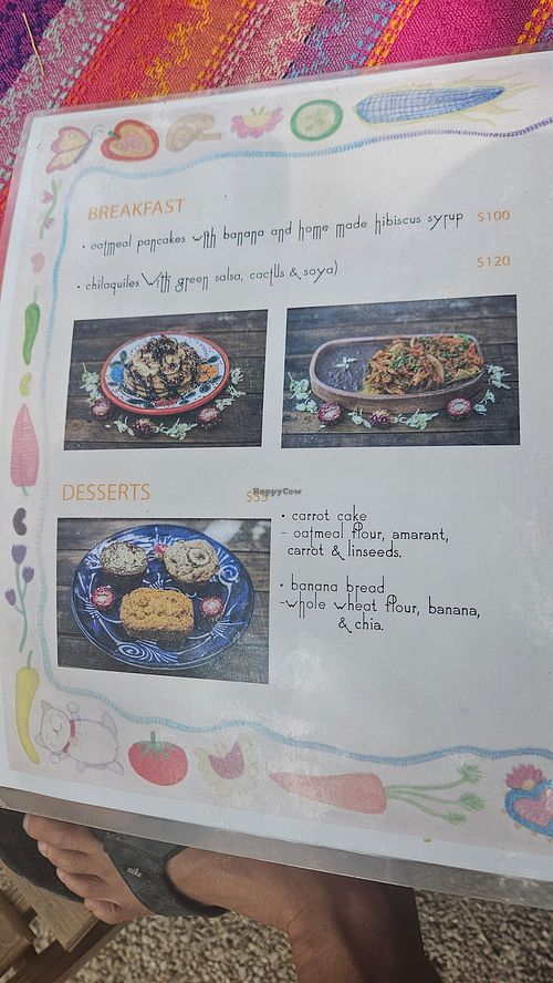 Menu at Suculenta in Tulum