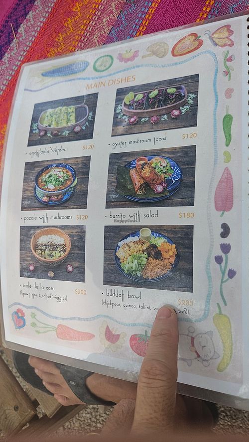 Menu at Suculenta in Tulum