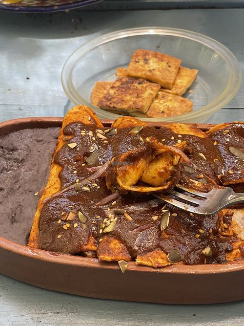   at Suculenta in Tulum