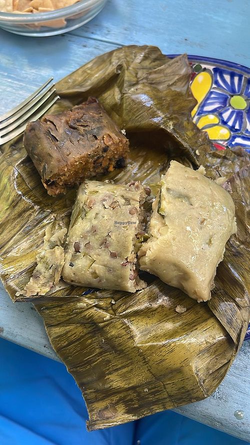   at Suculenta in Tulum