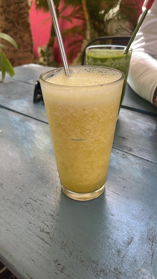   at Suculenta in Tulum