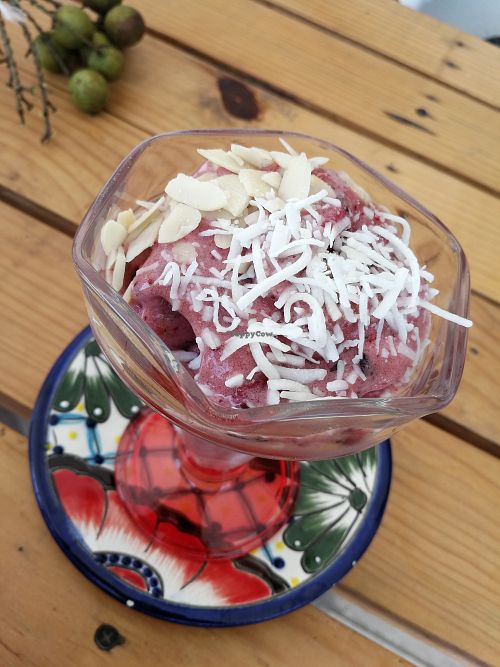 Vegan ice cream.   at Suculenta in Tulum