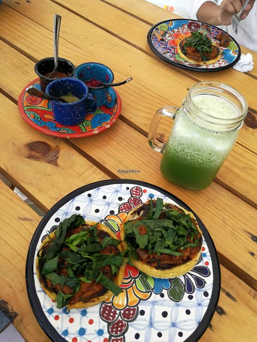 Sopes de tinga y jugo verde at Suculenta in Tulum