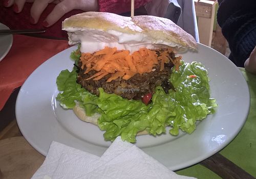 one of the lentil burgers at Sesamo Rincon Vegetariano in Valdivia