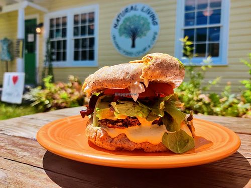Our Newly Added Vegan "Tex Mex Burger" is already a popular favorite at Natural Living Food Co-op and Cafe in League City