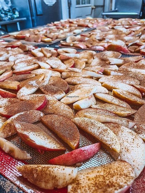  at Natural Living Food Co-op and Cafe in League City