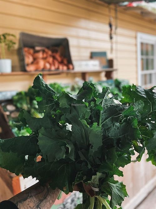  at Natural Living Food Co-op and Cafe in League City