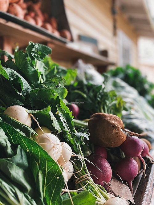  at Natural Living Food Co-op and Cafe in League City