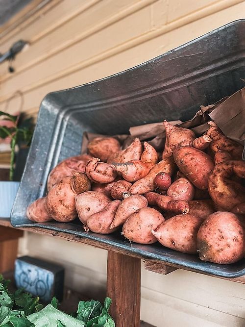  at Natural Living Food Co-op and Cafe in League City