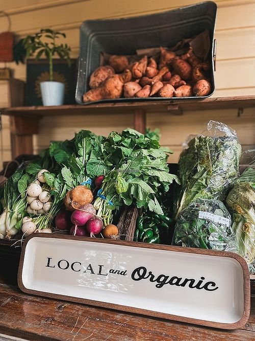  at Natural Living Food Co-op and Cafe in League City