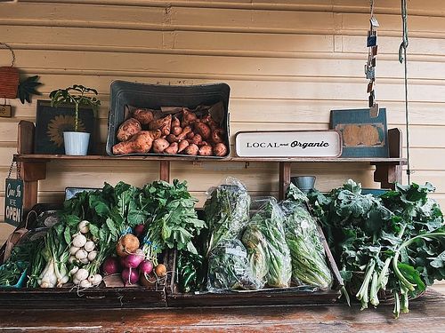  at Natural Living Food Co-op and Cafe in League City