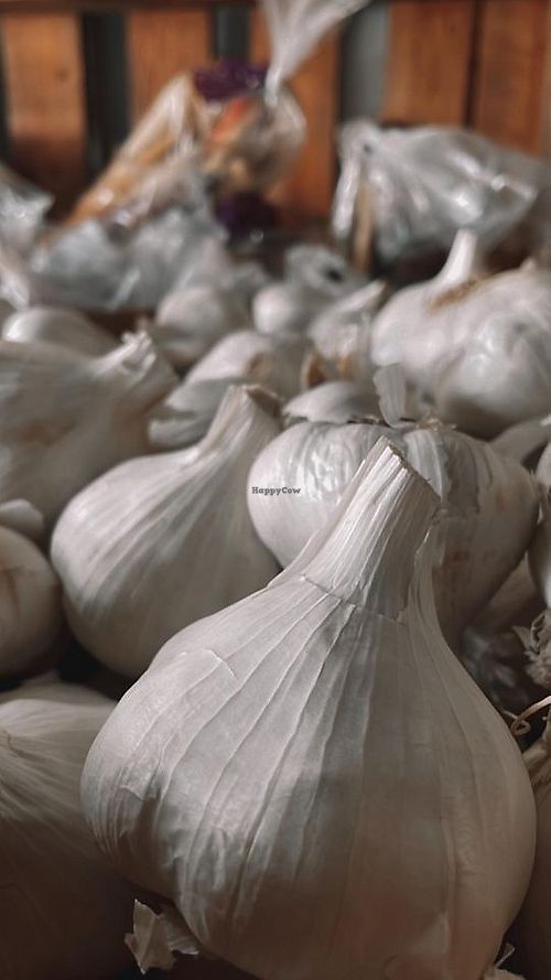  at Natural Living Food Co-op and Cafe in League City