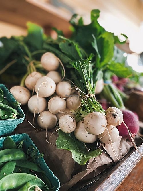  at Natural Living Food Co-op and Cafe in League City