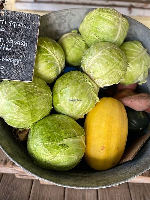  at Natural Living Food Co-op and Cafe in League City