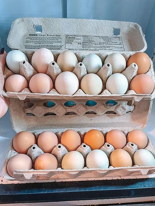  at Natural Living Food Co-op and Cafe in League City