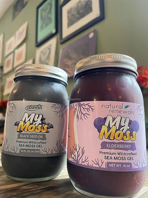  at Natural Living Food Co-op and Cafe in League City