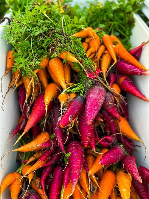  at Natural Living Food Co-op and Cafe in League City