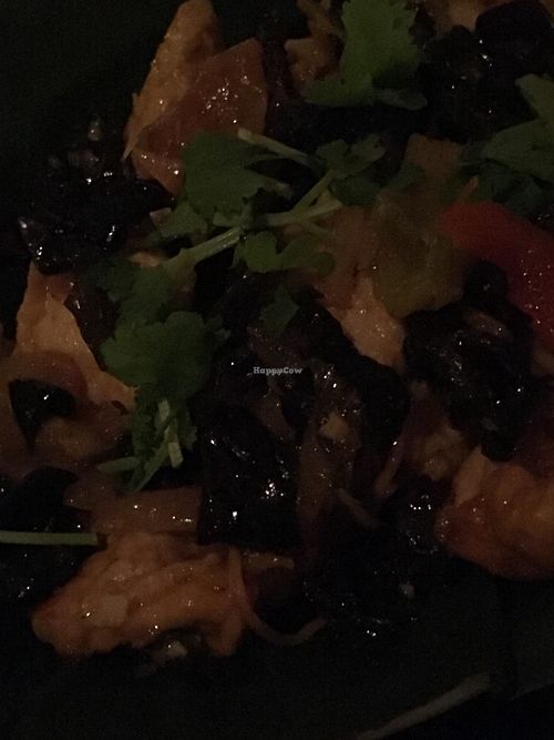 Tofu w cilantro and mushrooms  at Thai X-Ing in Washington