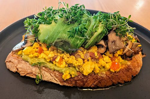 Avocado tofu scramble at daTerra - Baixa in Porto