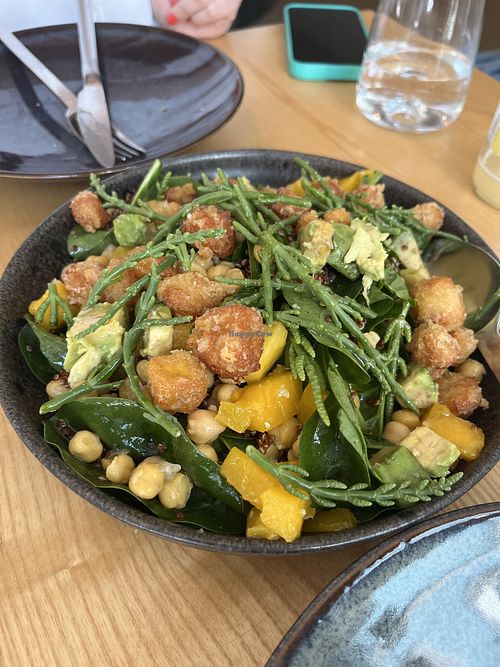 Delicious salad with mango, avocado, crispy tofu and chickpeas   at daTerra - Baixa in Porto