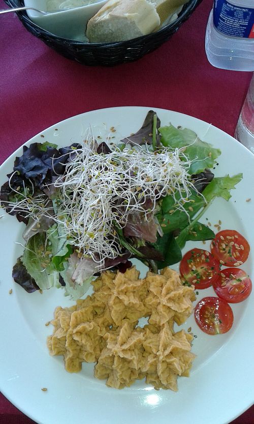 Homemade delicious Hummus with salat and sprouts at Svarog in Guardamar Del Segura