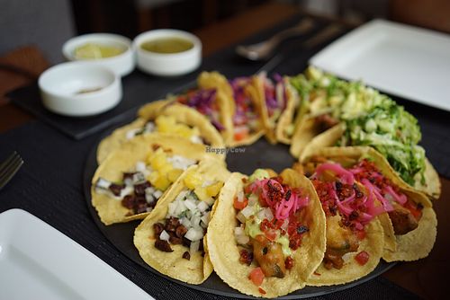 12 tacos to share.  at Nümen in Merida