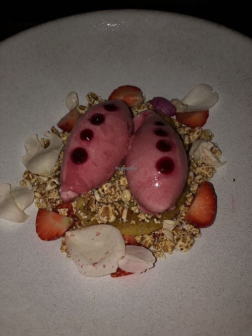 Sorbet, vegan dessert.  at TIAN Bistro am Spittelberg in Vienna